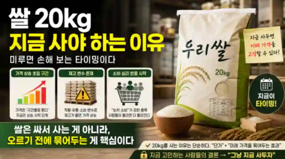 쌀 20kg 지금 사야 하는 이유와 가격 상승 타이밍 설명 이미지